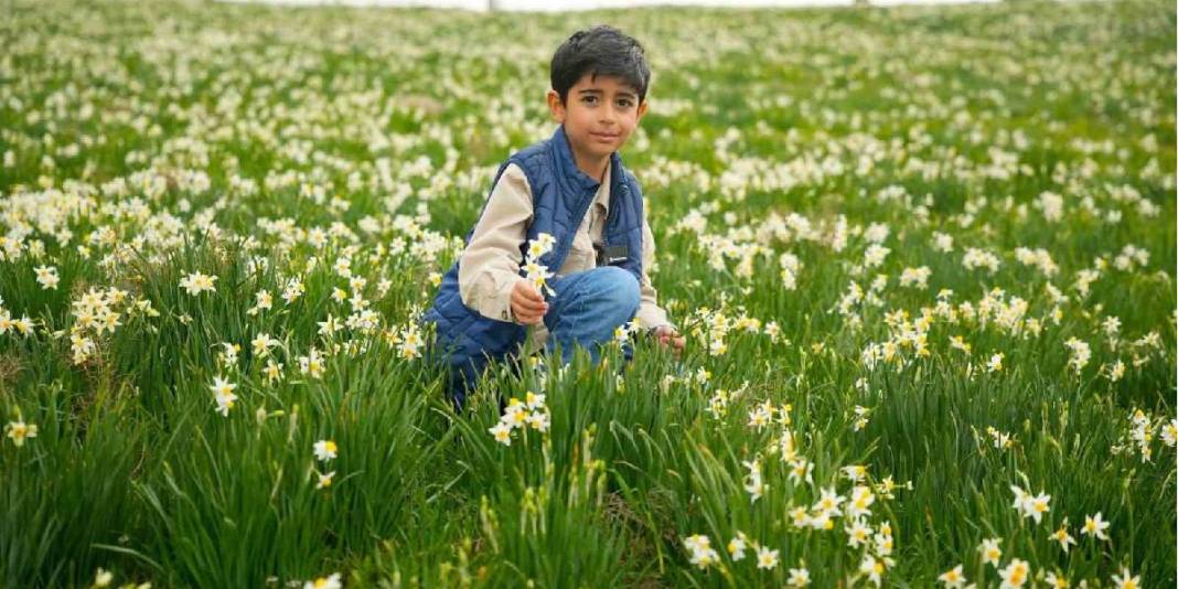 Sadece 2 hafta hayatta kalabiliyor: Görmek için binlerce kişi akın ediyor 2